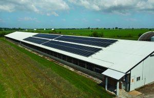solarturkeys