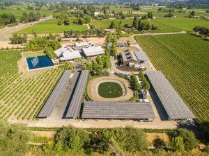 Alpha Omega winery uses a 400kW solar and 580 kWh battery microgrid.